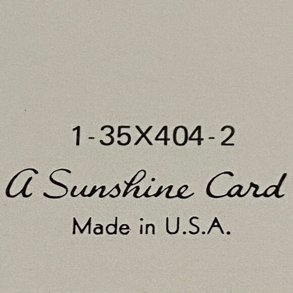 Lot 4 Vtg MCM Birthday Card USA 1970s Embossed Ornithologist Bird Winged Classic - Picture 6 of 16